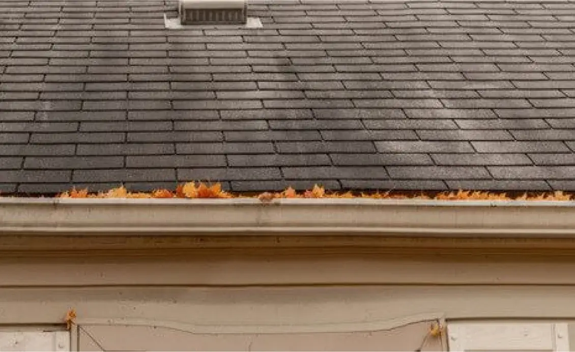 How-to-Remove-Algae-and-Mold-From-Roof-Shingles.