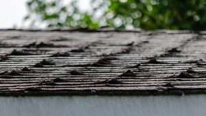 - 5 Signs It’s Time To Replace A Roof
