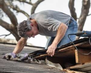 - How to Remove Algae and Mold From Roof Shingles