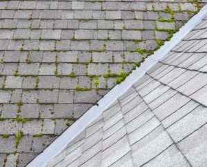 - How to Remove Algae and Mold From Roof Shingles