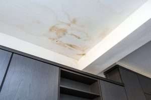 - Winter Roof Leaks – Causes and Solutions