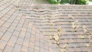 - 8 Signs your Roof Needs Repair