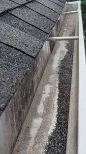 - 8 Signs your Roof Needs Repair