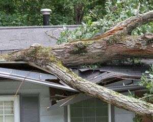 - Are Roof Warranties Worth Buying?