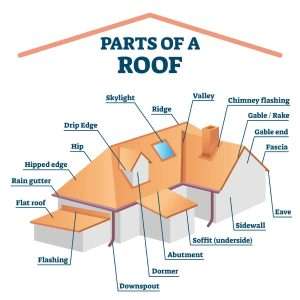 - Roof Lingo: A Homeowners Dictionary of Roofing Terms